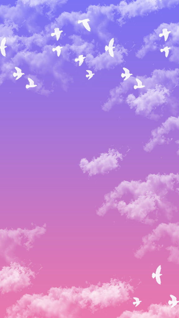 Flying birds in the cloudy sky background instagram story