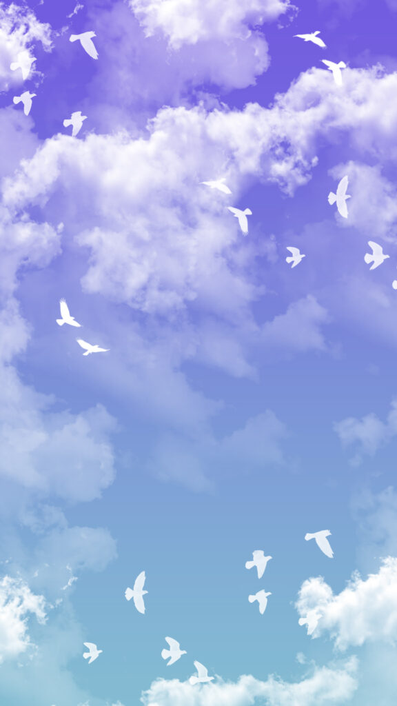 Sky with clouds and flying birds background for story and reel